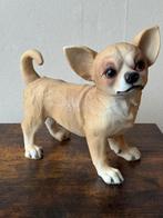 Chihuahua beeld gemaakt van kunsthars, Verzamelen, Beelden en Beeldjes, Ophalen, Nieuw, Dier