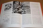 Oorlog op de Balkan, 1940-1945., Boeken, Oorlog en Militair, Ophalen of Verzenden, Gelezen