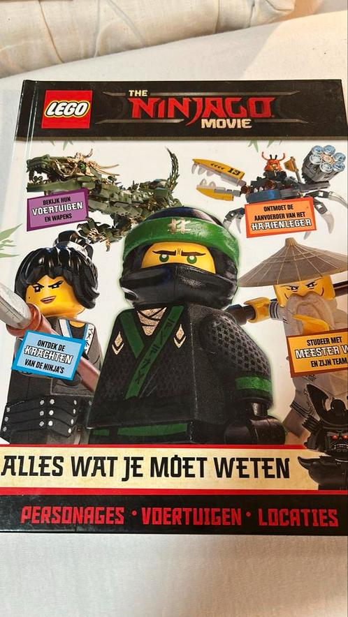 De LEGO Ninjago film - Alles wat je moet weten..., Boeken, Kinderboeken | Jeugd | onder 10 jaar, Zo goed als nieuw, Ophalen of Verzenden