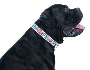 WAUDOG Flower Lederen Halsband Wit Nekomtr 46-60 cm KOOPJE! beschikbaar voor biedingen