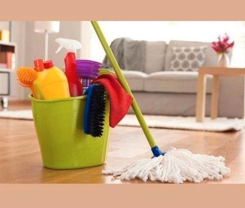 Aangeboden Huishoudelijke hulp,poetshulp, Vacatures, Vacatures | Schoonmaak en Facilitaire diensten