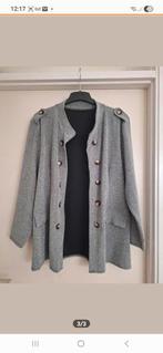 Glitter colbert en 2 glitter broeken!, Ophalen of Verzenden, Zo goed als nieuw, Maat 46/48 (XL) of groter, Carnaval