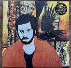 Charly Coombes ‎– All In The End Is Harvest (LP, 12", LIM.), Ophalen of Verzenden, Nieuw in verpakking, 12 inch, Poprock