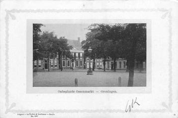 (380-747-027) Groningen Onbeplante Ossenmarkt beschikbaar voor biedingen