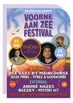 2 x tickets Voorne aan Zee festival op 23 mei., Twee personen