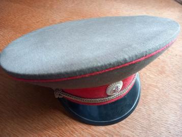 Russische pet  beschikbaar voor biedingen
