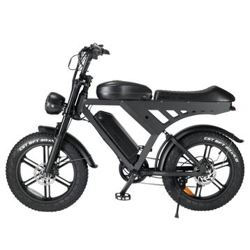 V30 Fatbike – dubbele accu – QMwheels beschikbaar voor biedingen