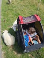 Fietskar / Bike Trailer - Burley Honey Bee, Ophalen, Gebruikt, Burley, Aanhangfiets