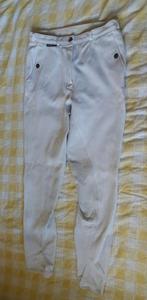 Euro-Star dames rijbroek wit, Gebruikt, Dressuur, Dames, Onderkleding