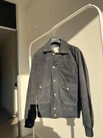 Alter Ego luxe suède jas maat M nieuw met tags donsvoering, Ophalen of Verzenden, Maat 48/50 (M), Blauw, Alter ego