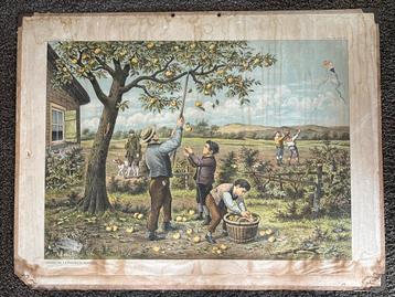 Schoolplaat Herfst beschikbaar voor biedingen