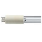 Vervangingslamp 840mm short-pin 75W Philips fitting, Nieuw, Ophalen of Verzenden, Vijververlichting