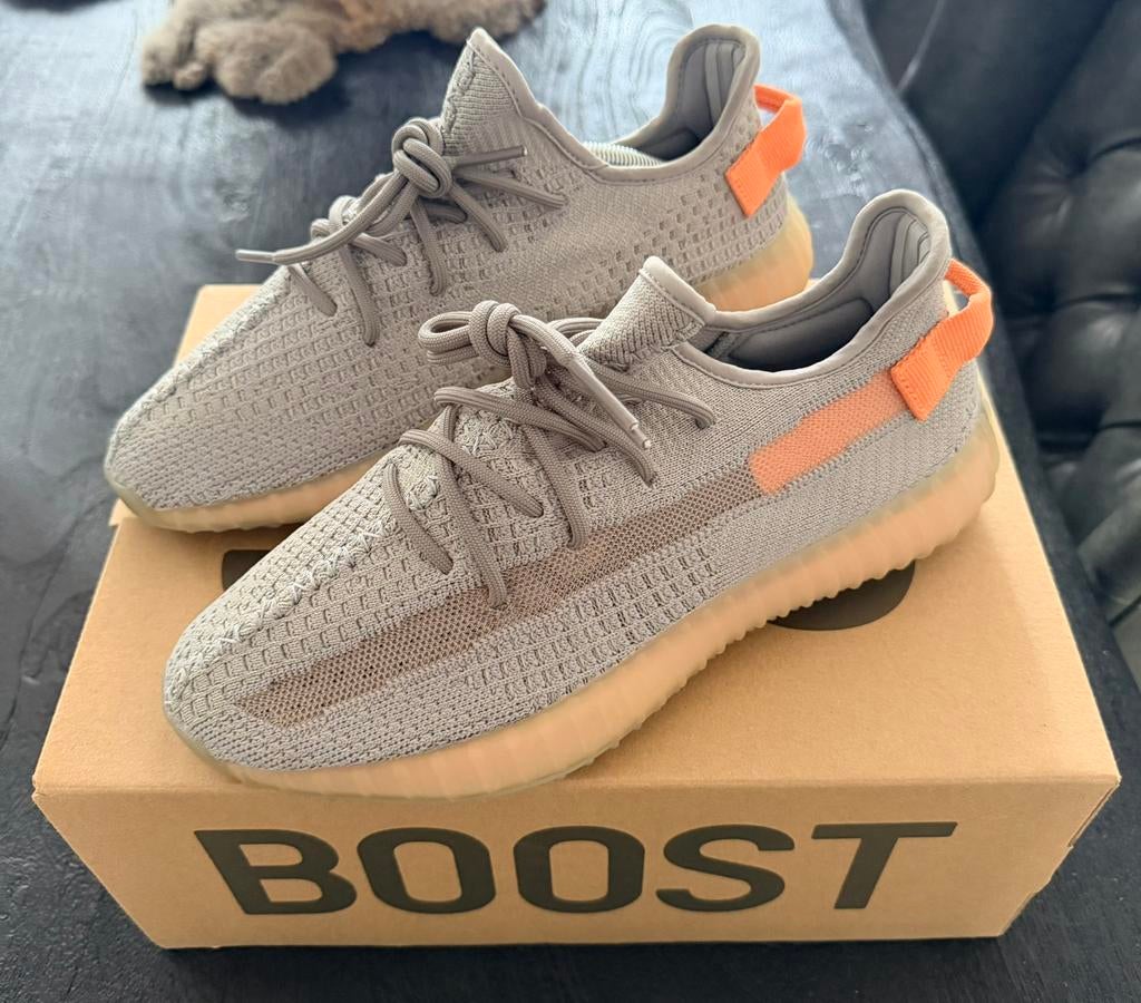 Nieuwe Yeezy boost 350 V2 TRFRM, Kleding | Heren, Schoenen, Ophalen of Verzenden, Zo goed als nieuw, Overige kleuren