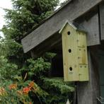 Mussenflat vogelhuisje nestkast, Tuin en Terras, Vogelhuisjes en Vogelbaden, Nieuw, Ophalen of Verzenden