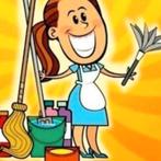 Huishoudelijke hulp gezocht, Vacatures, Vacatures | Schoonmaak en Facilitaire diensten, Overige niveaus, Starter, Overige vormen