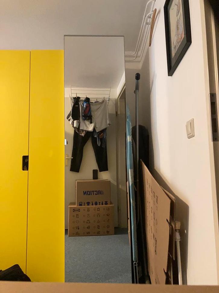 Ikea PAX spiegel deur (50x201) voor kledingkast, Huis en Inrichting, Kasten | Kledingkasten, Gebruikt, 200 cm of meer, 50 tot 100 cm