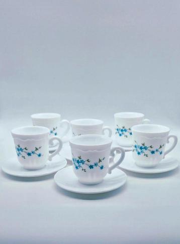 Set van 6 Arcopal France Veronica Kop en Schotel beschikbaar voor biedingen