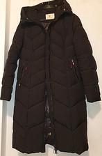 Zwarte gewatteerde dames winterjas - Maat M - Ophalen in DH., HACUCCI, Zwart, Gedragen, Ophalen