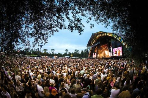 2x Down The Rabbit Hole 4-6 juli 2025 | DTRH 2025, Tickets en Kaartjes, Evenementen en Festivals, Twee personen