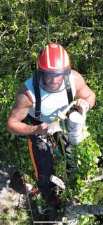 Boom snoeien of kappen? Boomstronk verwijderen?