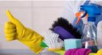 Schoonmaakster huishoudelijk hulp, Vanaf 10 jaar, Overige vormen