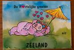 Ansichtkaart Zeeland - Beestenboel, Verzamelen, Ansichtkaarten | Nederland, Ophalen of Verzenden, 1980 tot heden, Ongelopen, Zeeland