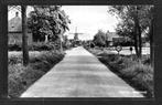 molen; Korenmolen De Leeuw te Zeerijp., Verzamelen, Ansichtkaarten | Nederland, Verzenden, 1960 tot 1980, Ongelopen, Groningen