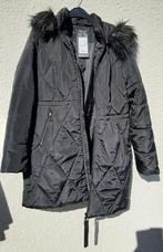 Damesjas Coolcat zwart L, Kleding | Dames, Jassen | Winter, Zwart, Maat 42/44 (L), Nieuw, Ophalen of Verzenden