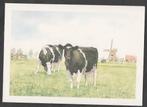 Twee Koeien in de Wei Kunst Wiebe van der Zee Nieuw op, Verzamelen, Verzenden, 1980 tot heden, Ongelopen, Overige thema's