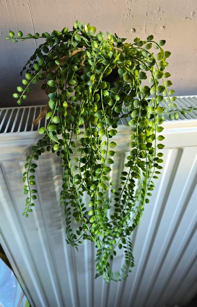 NIEUWE KUNSTPLANT 80 CM - INFO ZIE ADVERTENTIE, Huis en Inrichting, Woonaccessoires | Kunstplanten en Kunstbloemen, Nieuw, Ophalen of Verzenden