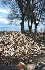 Haardhout, brandhout, stookhout, kachelhout, Tuin en Terras, Haardhout, 6 m³ of meer, Ophalen of Verzenden, Overige houtsoorten