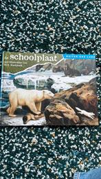De Schoolplaat- Buiten ons land, Ophalen of Verzenden, Zo goed als nieuw