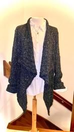 Warm Annette Gortz vest maat L wol en Mohair. Eye catcher…., Ophalen of Verzenden, Zo goed als nieuw, Maat 38/40 (M)