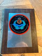 Wapenschildje IAGOS, Verzamelen, Militaria | Algemeen, Ophalen of Verzenden, Landmacht, Nederland, Embleem of Badge