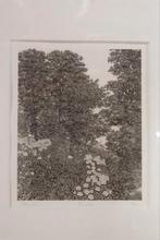 Philip Wiesman – Carvalho (1972) – gesigneerde ets –, Ophalen of Verzenden