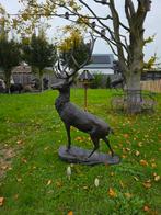 🦌🦌 XL Brons Hert - Tuinbeeld, Xclusive-items@outlook.com, -, Ophalen of Verzenden, Dierenbeeld