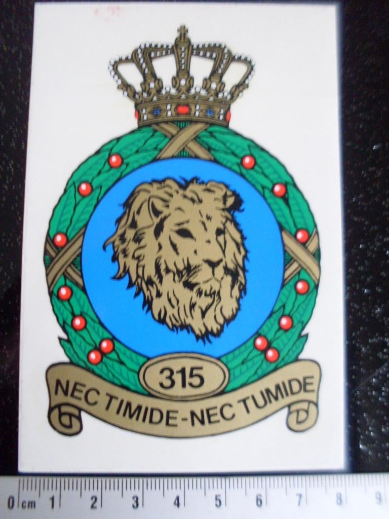 ruit sticker squadron 315 nec timide nec tumide logo KLu, Verzamelen, Stickers, Verzenden, Zo goed als nieuw, Bedrijf of Vereniging