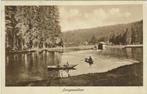 Freudenstadt (Zwitserland) – Langenwaldsee., Verzamelen, Ophalen of Verzenden, Voor 1920, Gelopen, Overig Europa
