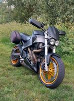 Buell XB12S Lightning Naked Bike, Motoren, Motoren | Buell, Particulier, Naked bike