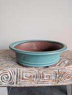 Bonsai pot 23x18x7, Tuin en Terras, Bloempotten, ., Ophalen of Verzenden, Zo goed als nieuw, .