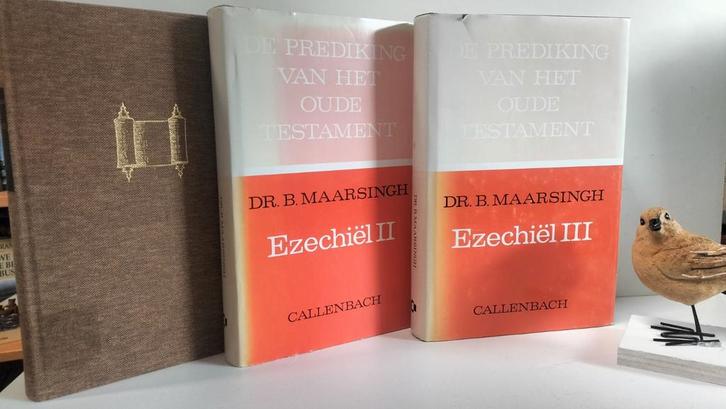 Maarsingh, Dr. B.; Ezechiël    3 delen  (POT), Boeken, Godsdienst en Theologie, Gelezen, Christendom | Protestants, Ophalen of Verzenden