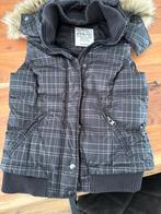 Bodywarmer, Kleding | Dames, Bodywarmers, Maat 38/40 (M), Zwart, Ophalen of Verzenden, Zo goed als nieuw
