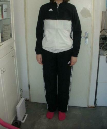 Origineel ADIDAS Team trainingspakmaat S (qwe) Nieuw!, Kleding | Dames, Sportkleding, Nieuw, Maat 36 (S), Zwart, Ophalen of Verzenden