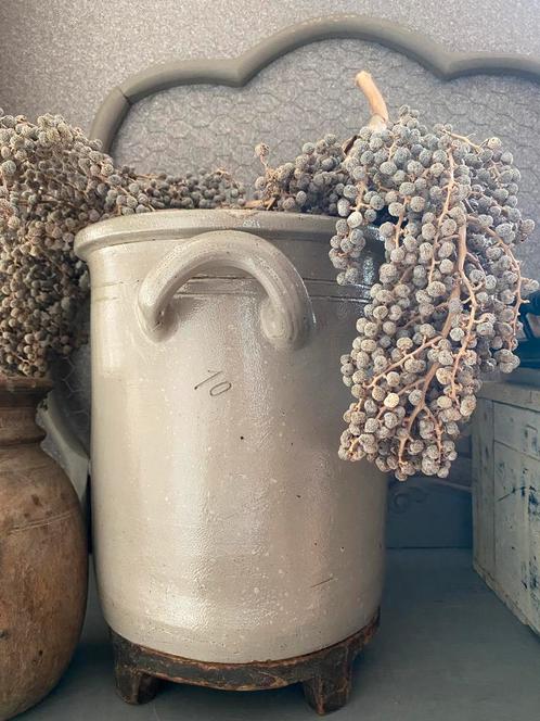 Grote grijze grespot met oren!, Antiek en Kunst, Curiosa en Brocante, Ophalen of Verzenden