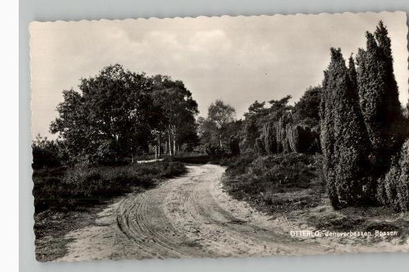 Otterlo Jeneverbessen Bossen, Verzamelen, Ansichtkaarten | Nederland, Ongelopen, Gelderland, Voor 1920, Verzenden