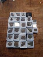 Grote partij dinosaurus bot cabochons, Verzamelen, Mineralen en Fossielen, Ophalen of Verzenden