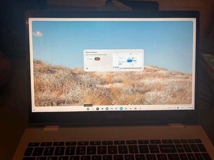ASUS Chromebook Flip CX1500FKA-E80049, Computers en Software, Chromebooks, Zo goed als nieuw, 15 inch, 4 GB of minder, 64 GB, Ophalen of Verzenden