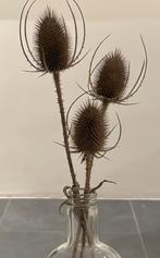 Gedroogde kaardenbol, Ophalen of Verzenden, Zo goed als nieuw