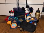 Disney Destiny preview sailings pakket, Ophalen of Verzenden, Mickey Mouse, Zo goed als nieuw, Overige typen