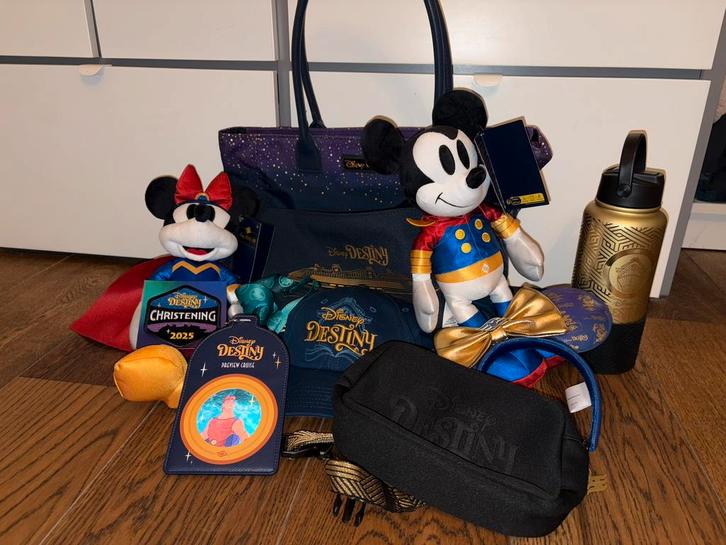 Disney Destiny preview sailings pakket, Verzamelen, Disney, Zo goed als nieuw, Overige typen, Mickey Mouse, Ophalen of Verzenden